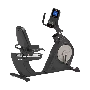 Recumbent Bike