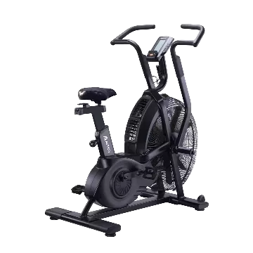 Assault Bike