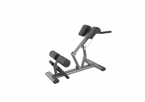 Lower Back Bench