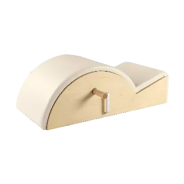 Single Spine Corrector