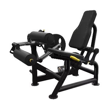 Seated Leg Curl