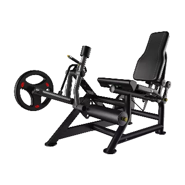 Leg Extensions