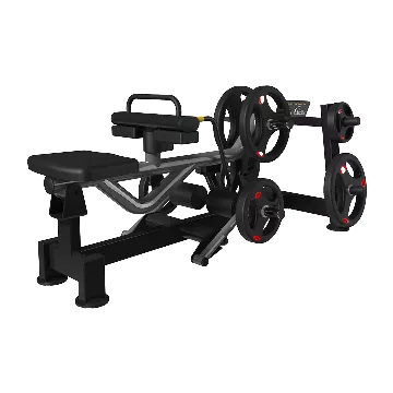 Seated Calf