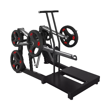 Belt Squat