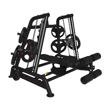 Smith Machine Dual System