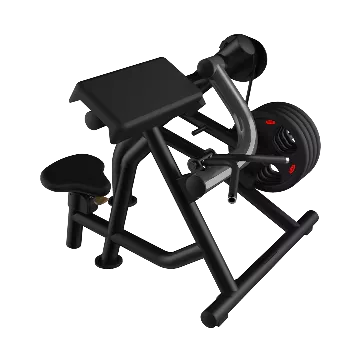 Biceps Curl