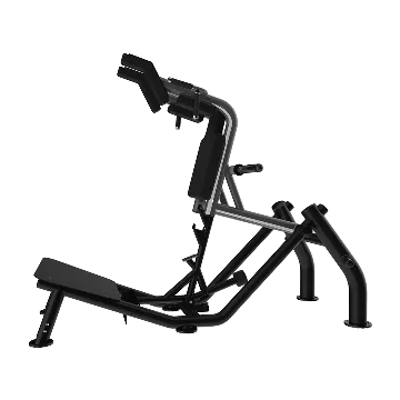 Hack Squat